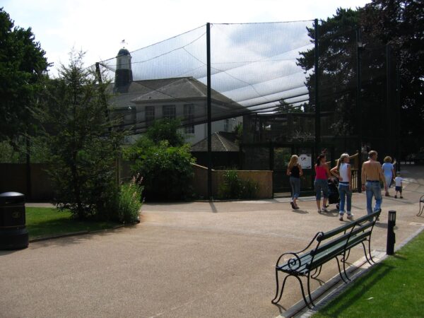 Bristol Zoo Flamingo Aviary