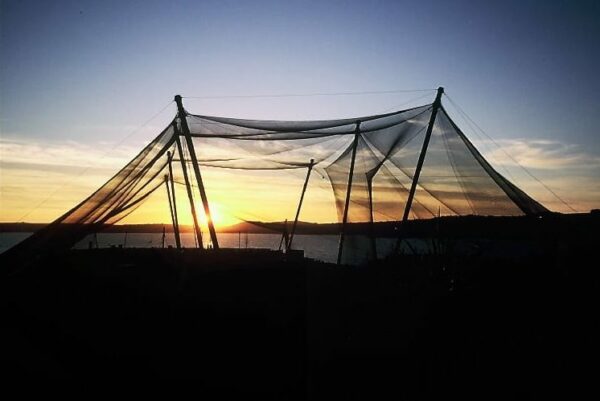 Living Coasts - Paignton Zoo